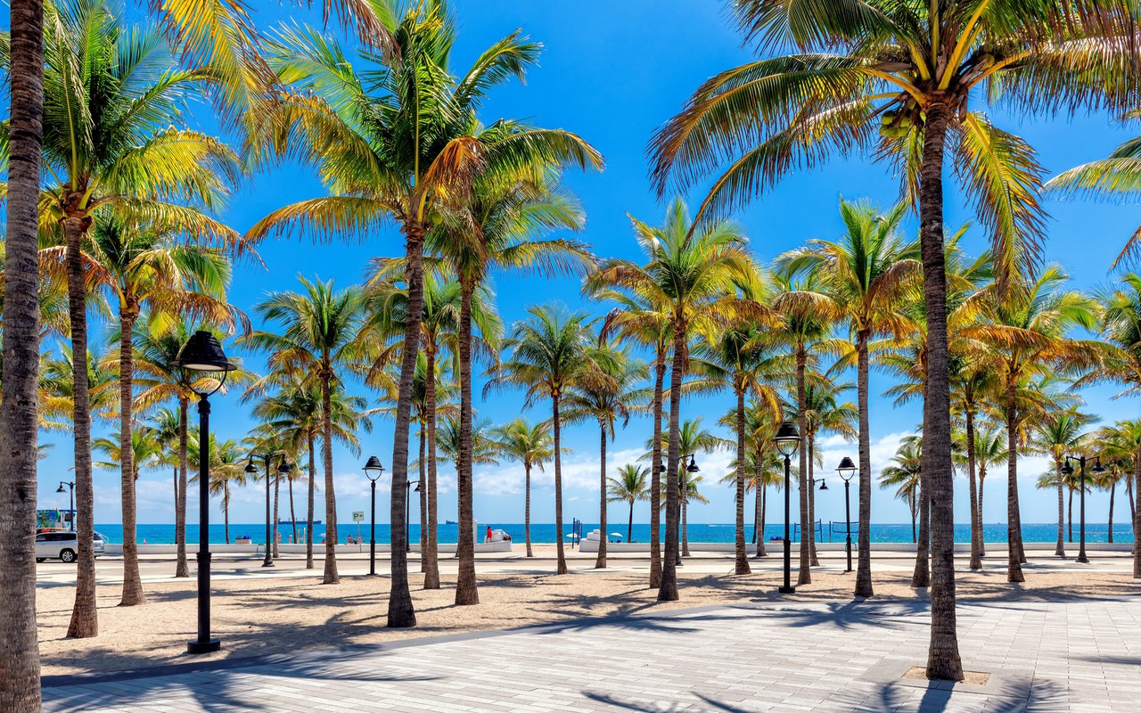 Las Olas