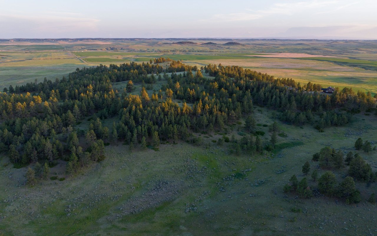 Elk Rich Ranch