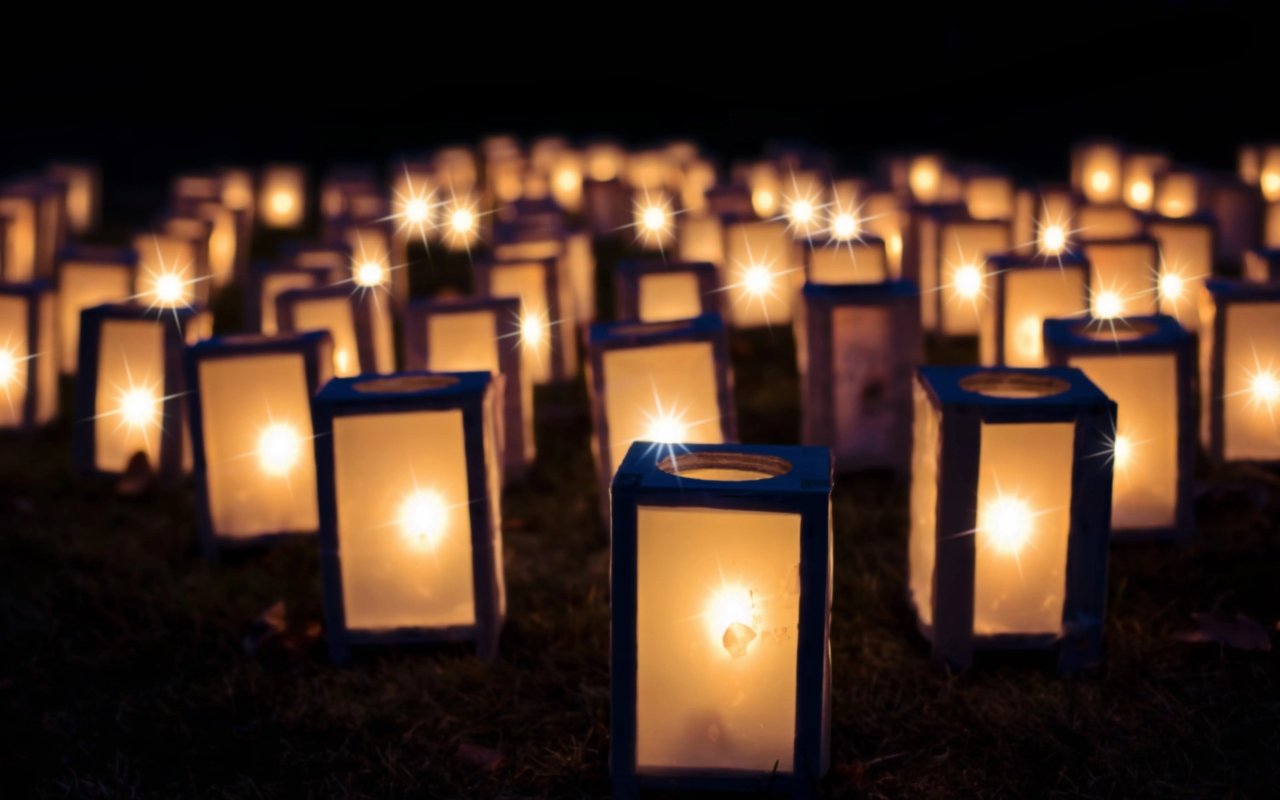 Rows of glowing paper lanterns line a grassy area at night.