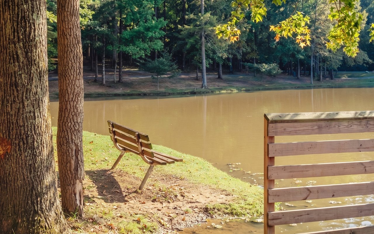 The Best of Charlotte’s Local Parks