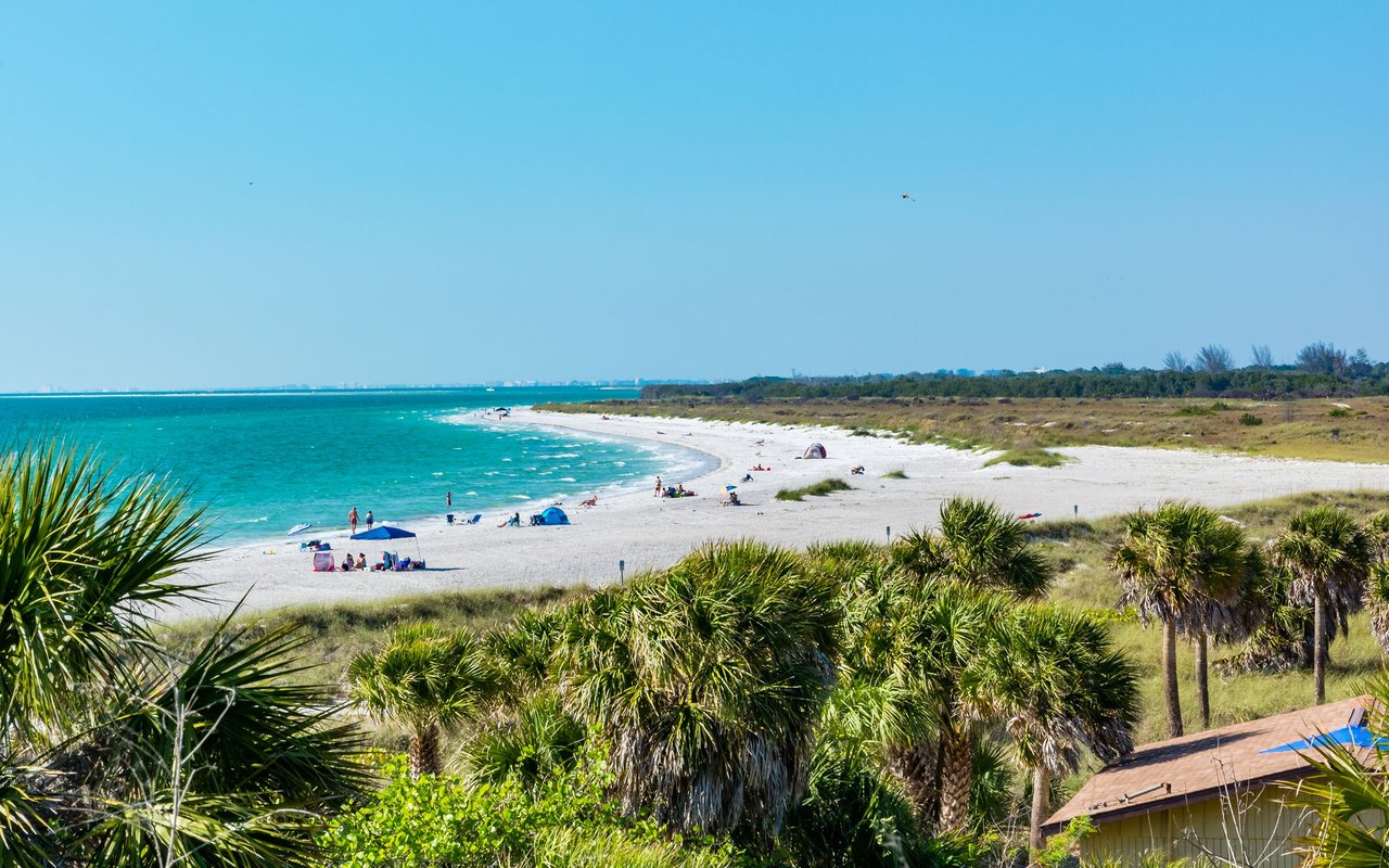 Tampa Bay Area