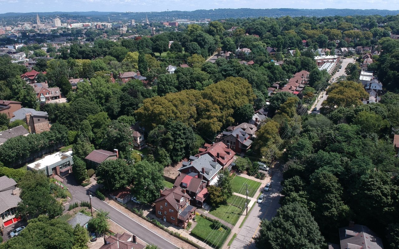 Aerial view of a leafy neighborhood with homes, streets, and distant hills.