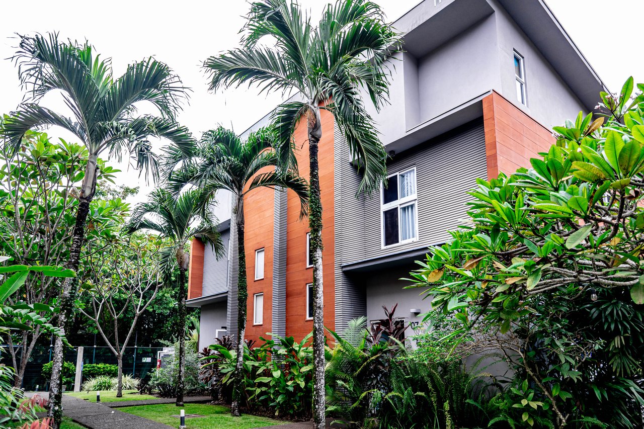 Modern gray and terracotta residence framed by palm trees and tropical landscaping.