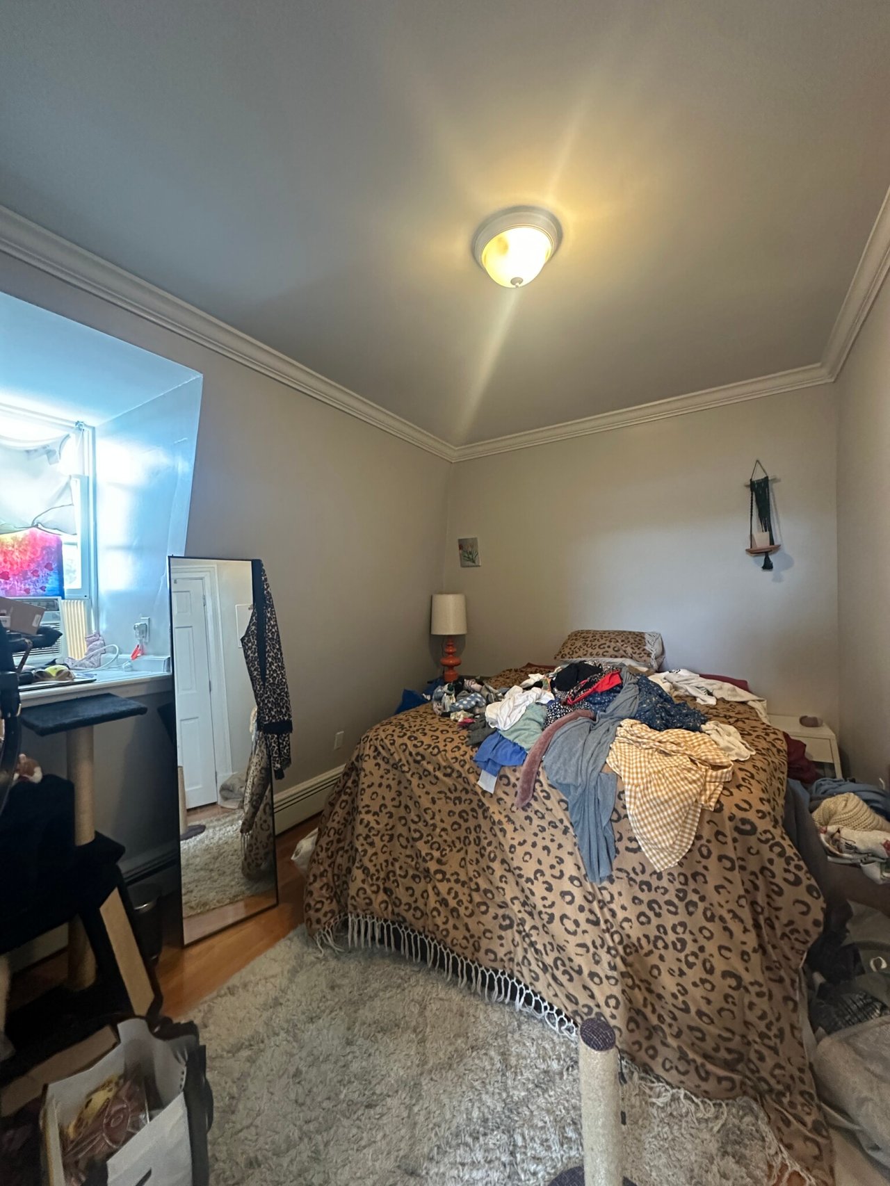 33 Bigelow St #3