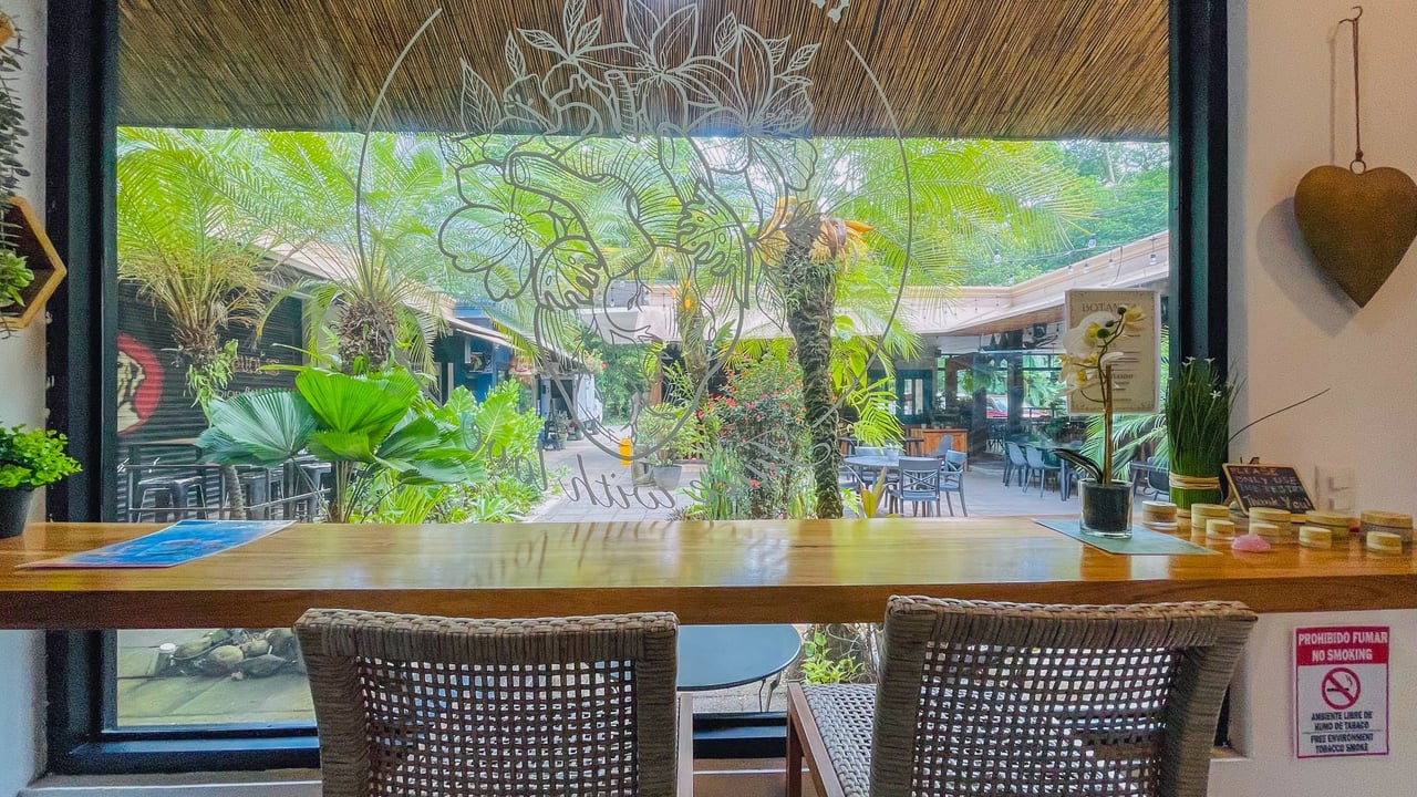 Juice Bar for Sale in Ojochal, Costa Rica | Turnkey Business Opportunity