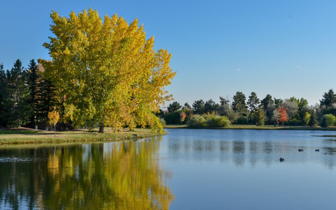 Hidden Lake