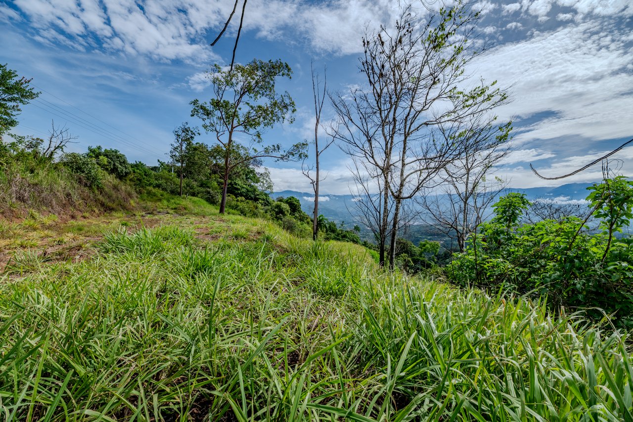 Panoramic Mountain View Lot | 3,000 ft, 30 min to Beaches | Pérez Zeledón