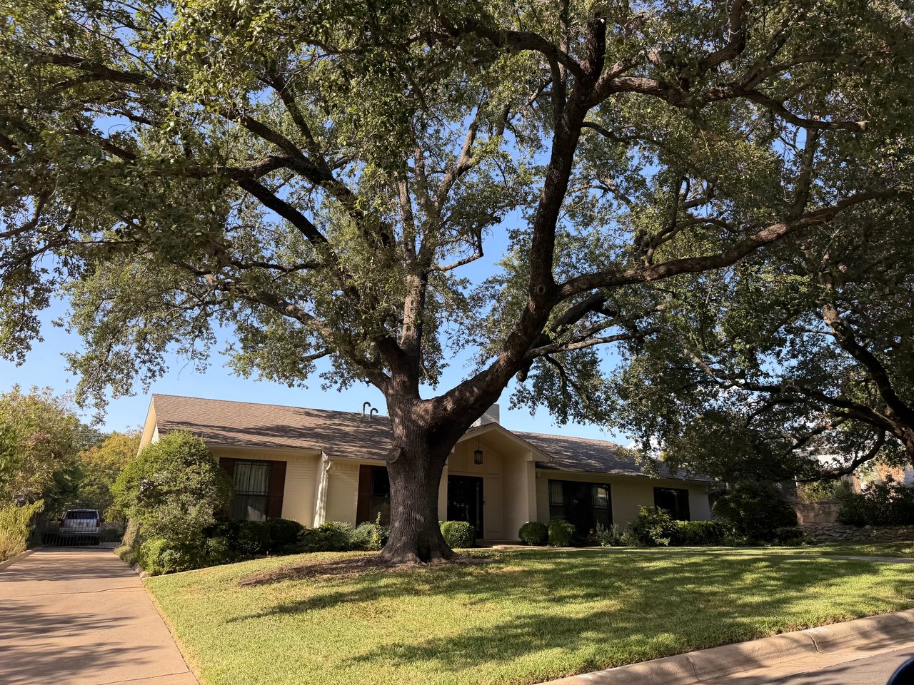 Single-story home shaded by a large oak tree, with a broad front lawn and driveway.