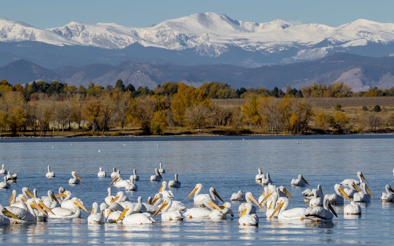 Cherry Creek