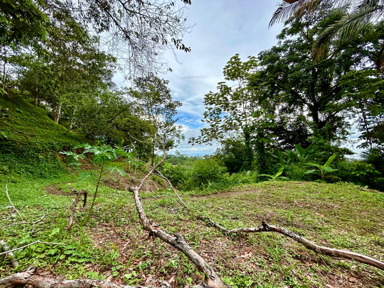 Ocean View Property in Playa Hermosa - Over 1 Acre