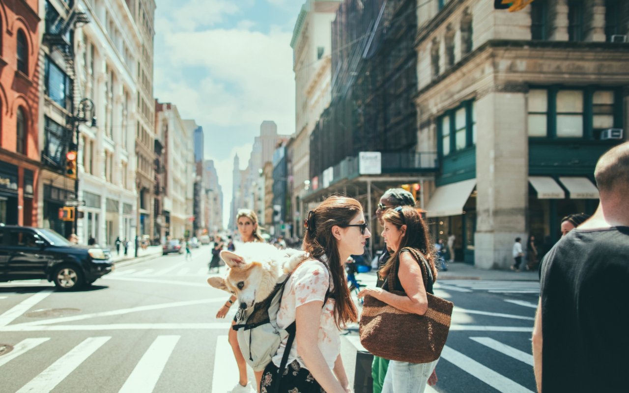 The Best New York Neighborhoods For Pet Owners