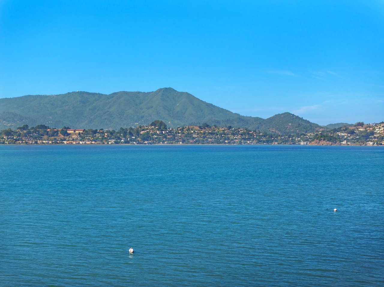 Vacation at Home on the San Francisco Bay