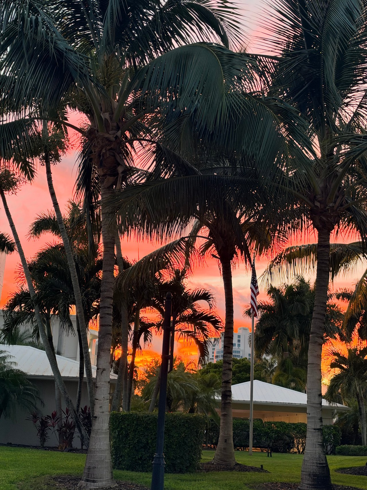 Park Shore And Venetian Village Sunset 