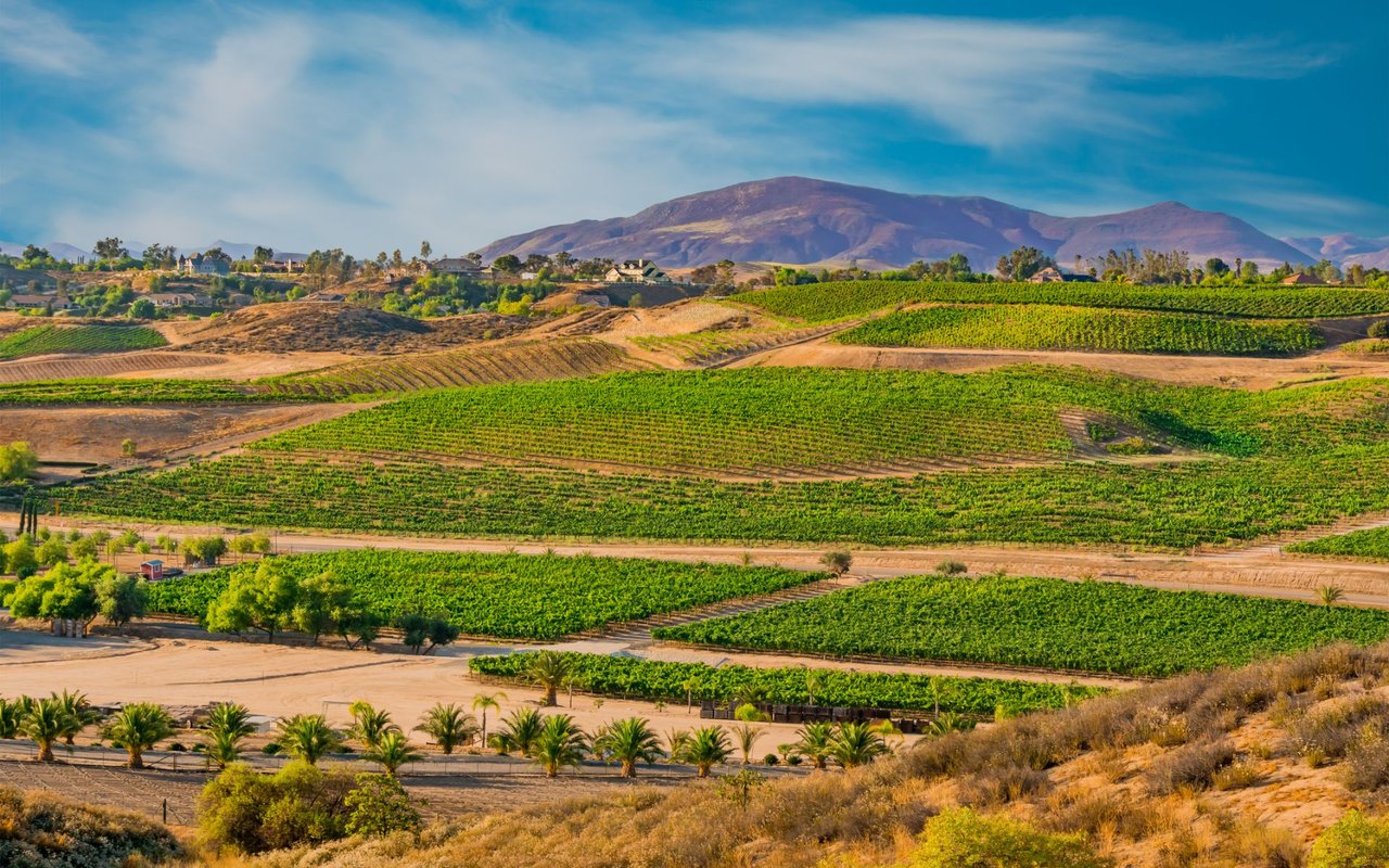 Temecula