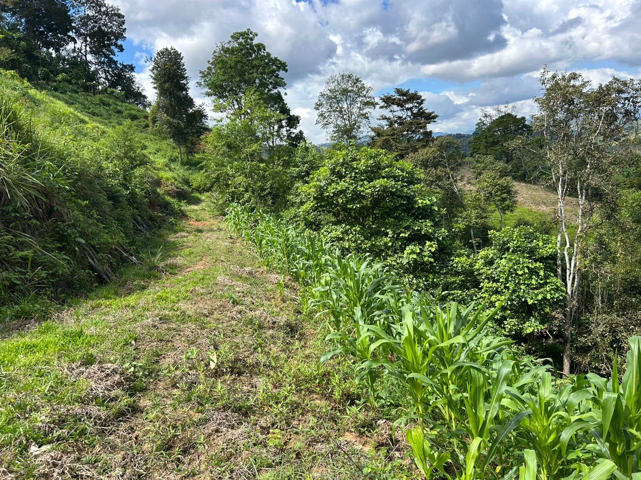 10-Acre Waterfall Farm with Amazing Valley and River View in San Isidro.