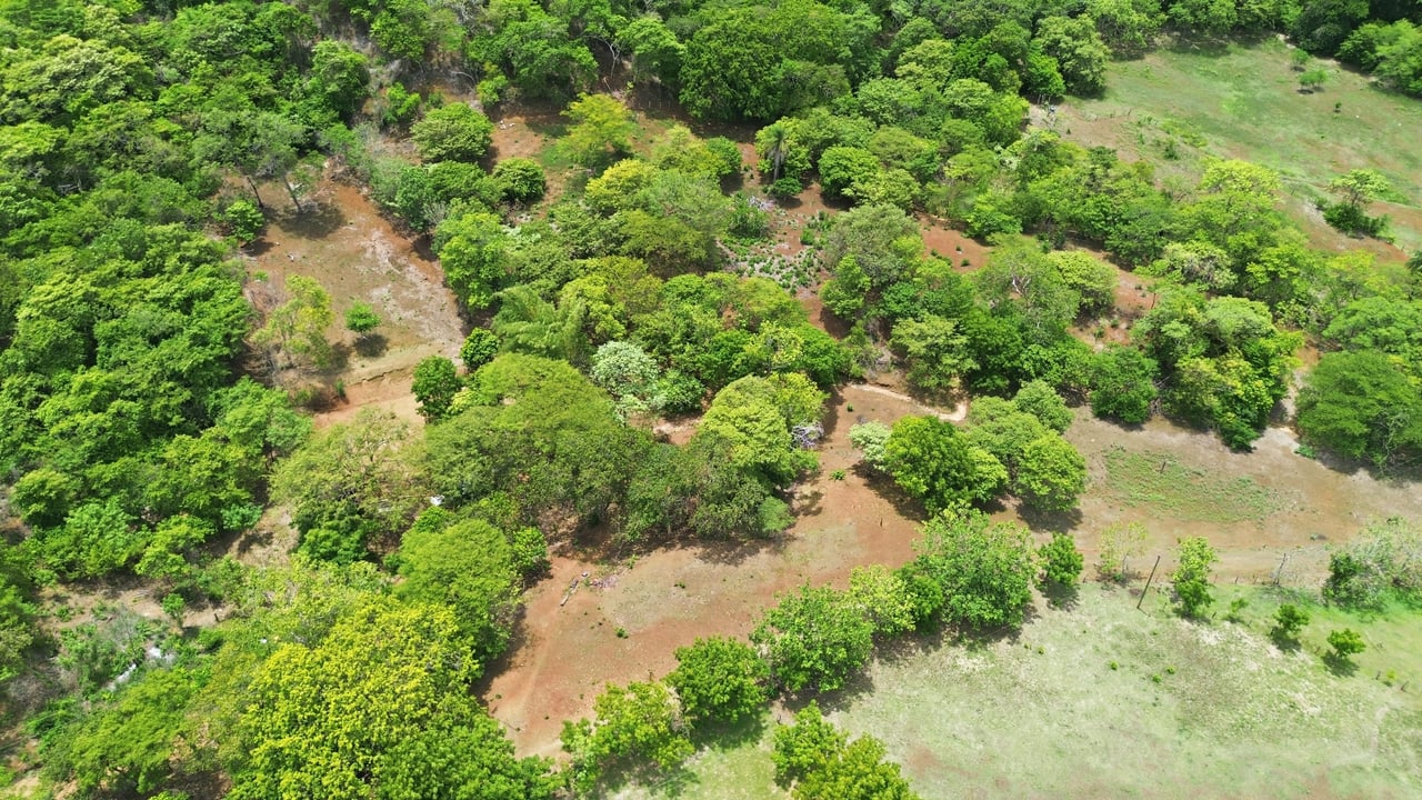 3.4 Acres of Quiet Country Living | 12 minutes from the Beach - Tempate 