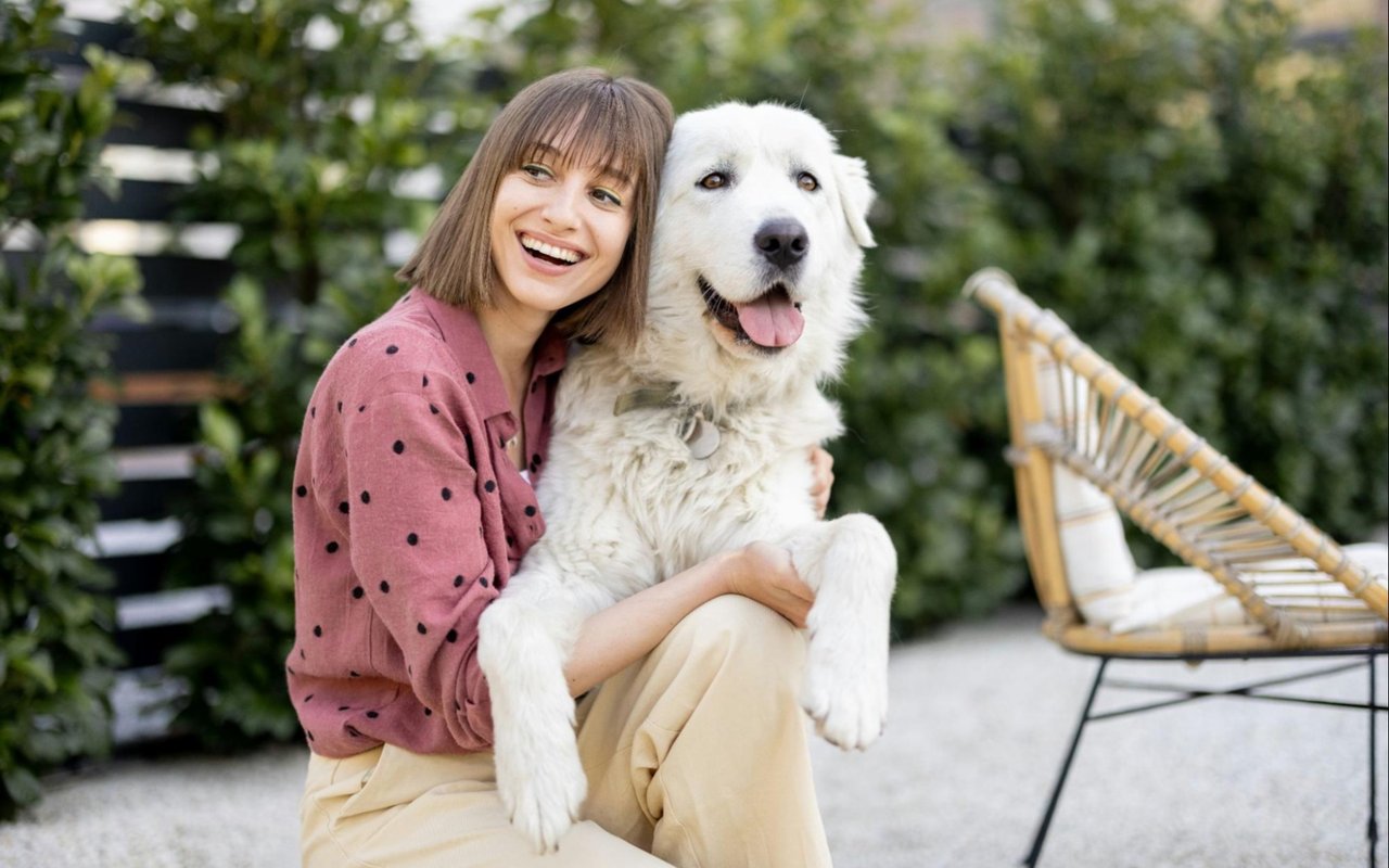 Fun with Your Pets in Fort Lauderdale