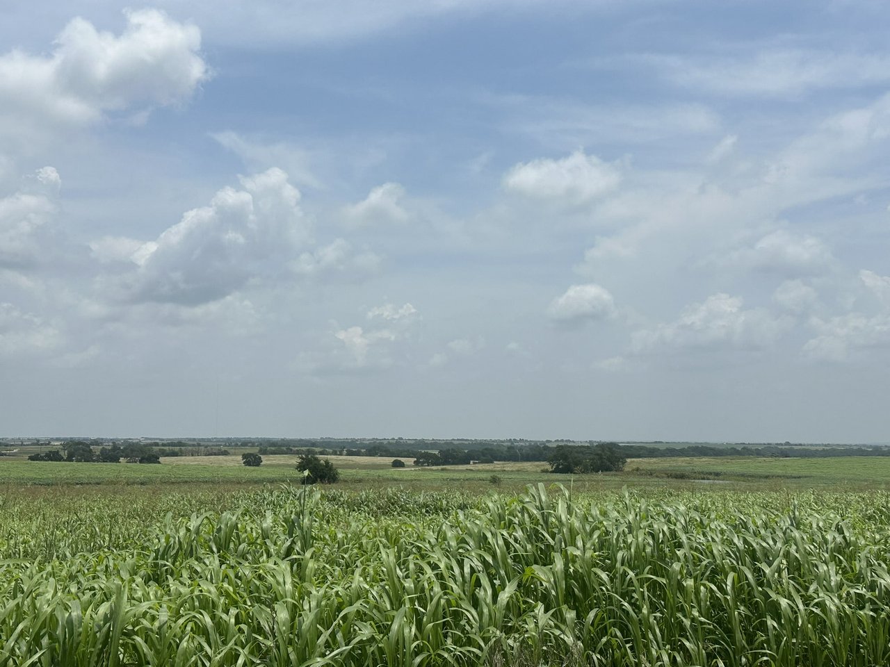 231 Acres land for sale in Troy, Tx with Utilities