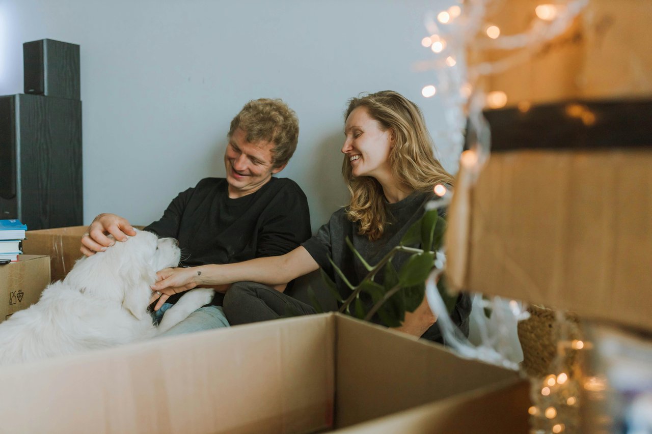 Pet-Friendly Relocation Guide 