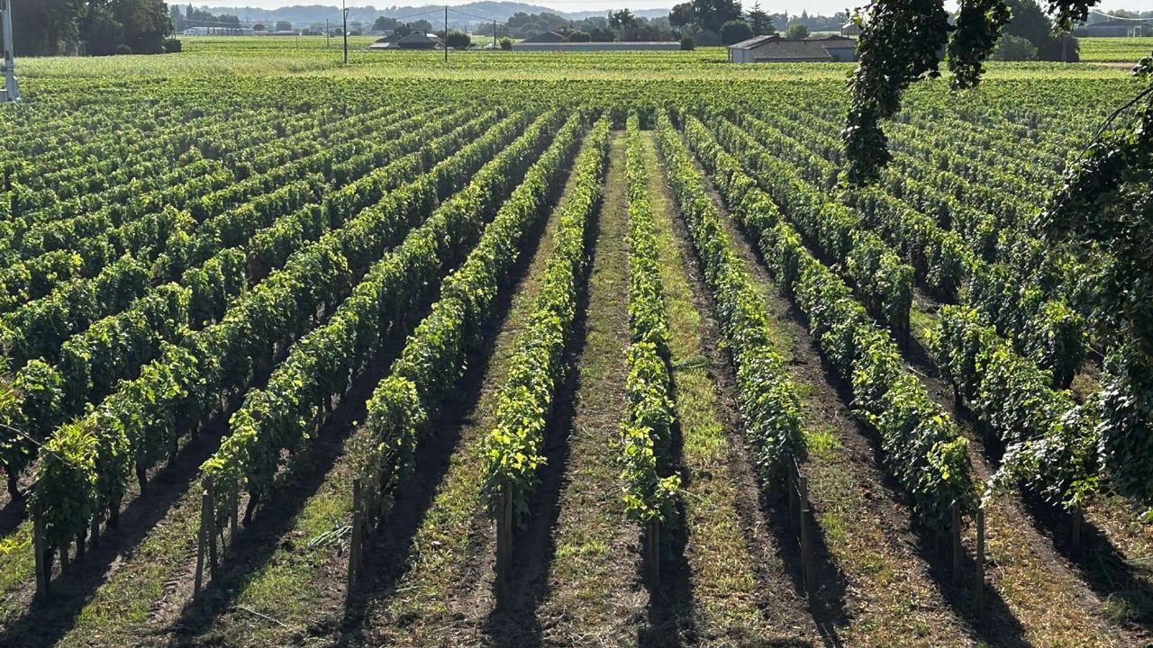 Saint-Émilion, Bordeaux, France