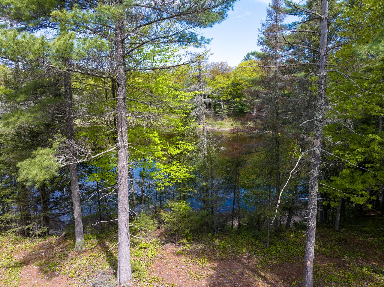 18.29 Acres Tri Lakes Road