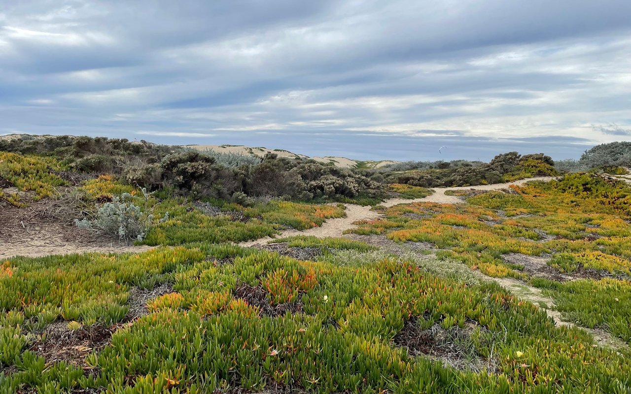 Grover Beach