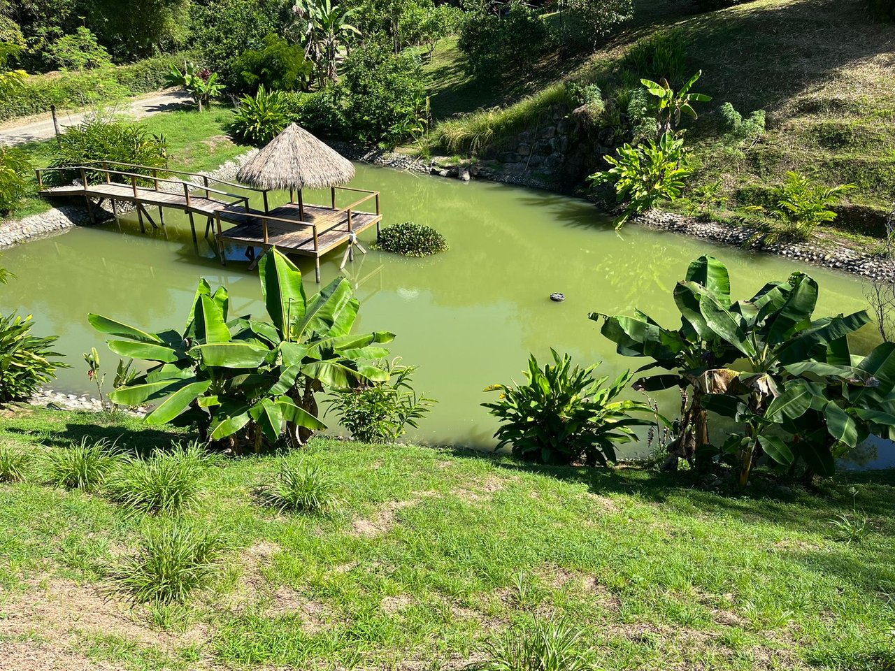 Cinematic Ocean&Mountain View Property In Vista Dominical Estate, Minutes From The Beach!