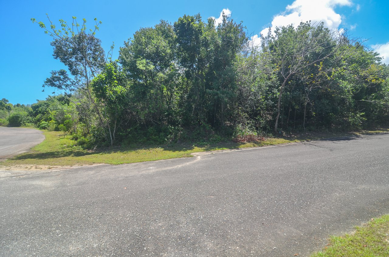 Lot #69 Lyford Hills