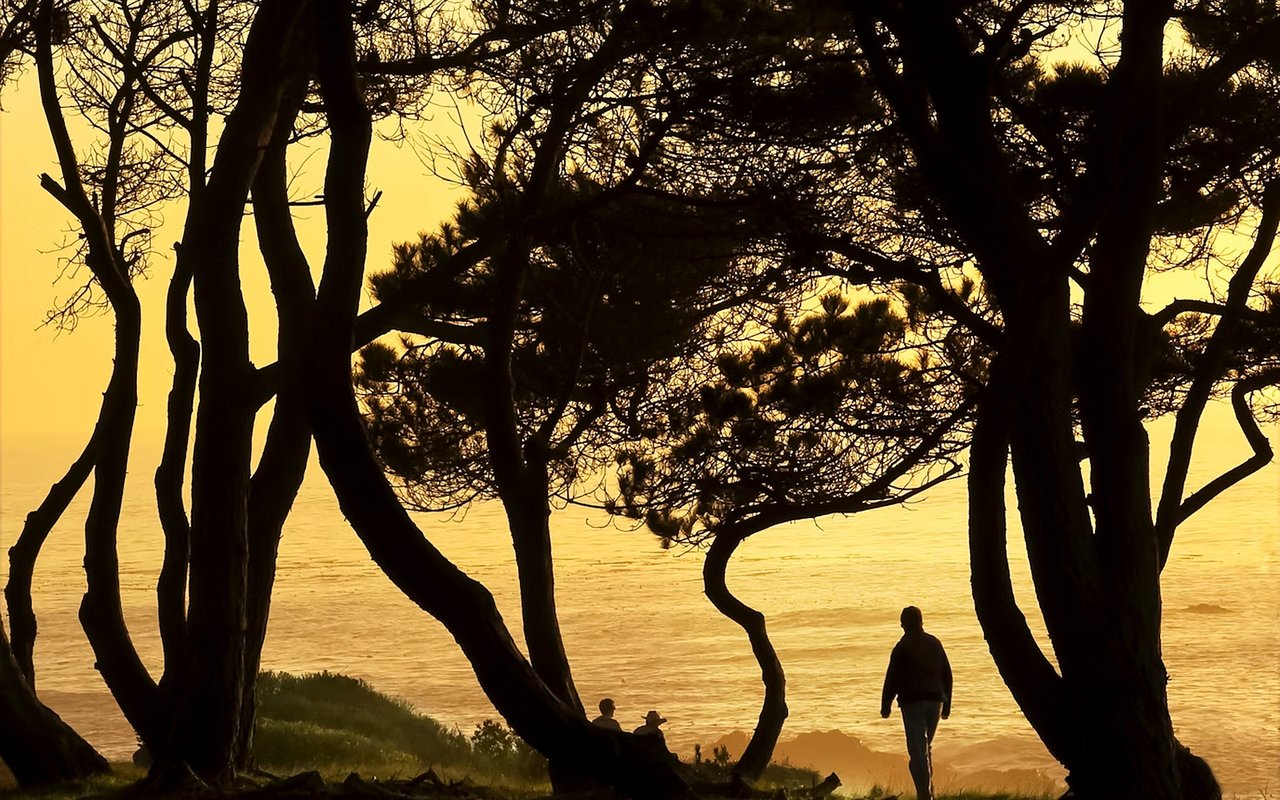 Best Ways to Stay Active in The Sea Ranch, CA