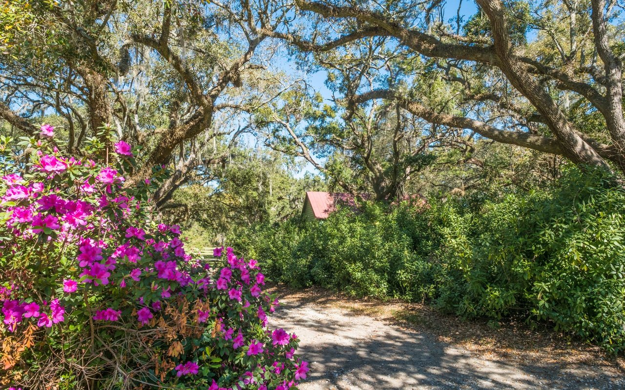 James Island