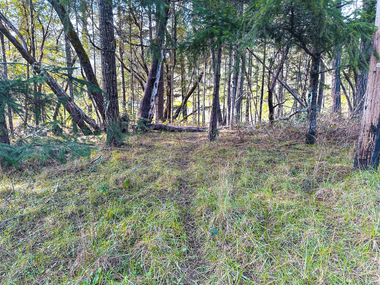 SUTHERLIN WOODLOTS