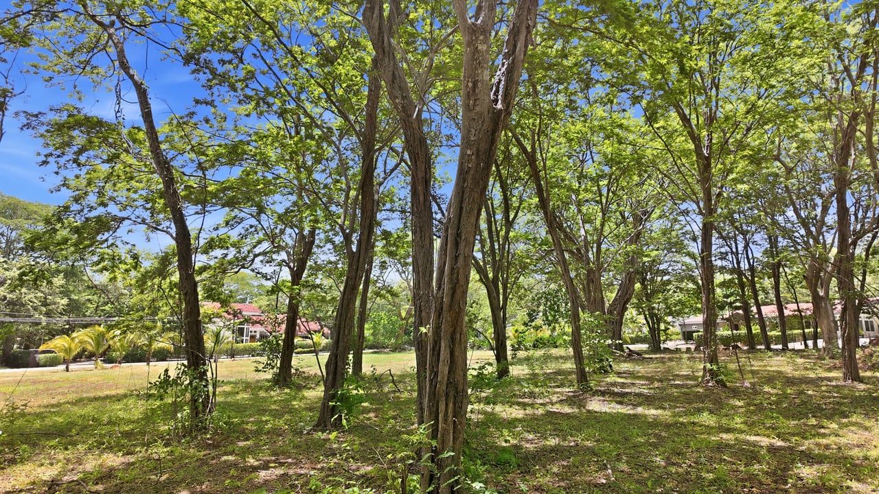 CATALINA COVE LOT FOR SALE 