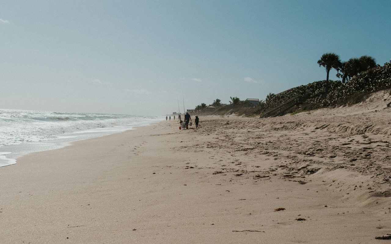 Melbourne Beach shoreline with distant beachgoers, palms, and waves rolling onto the sand.