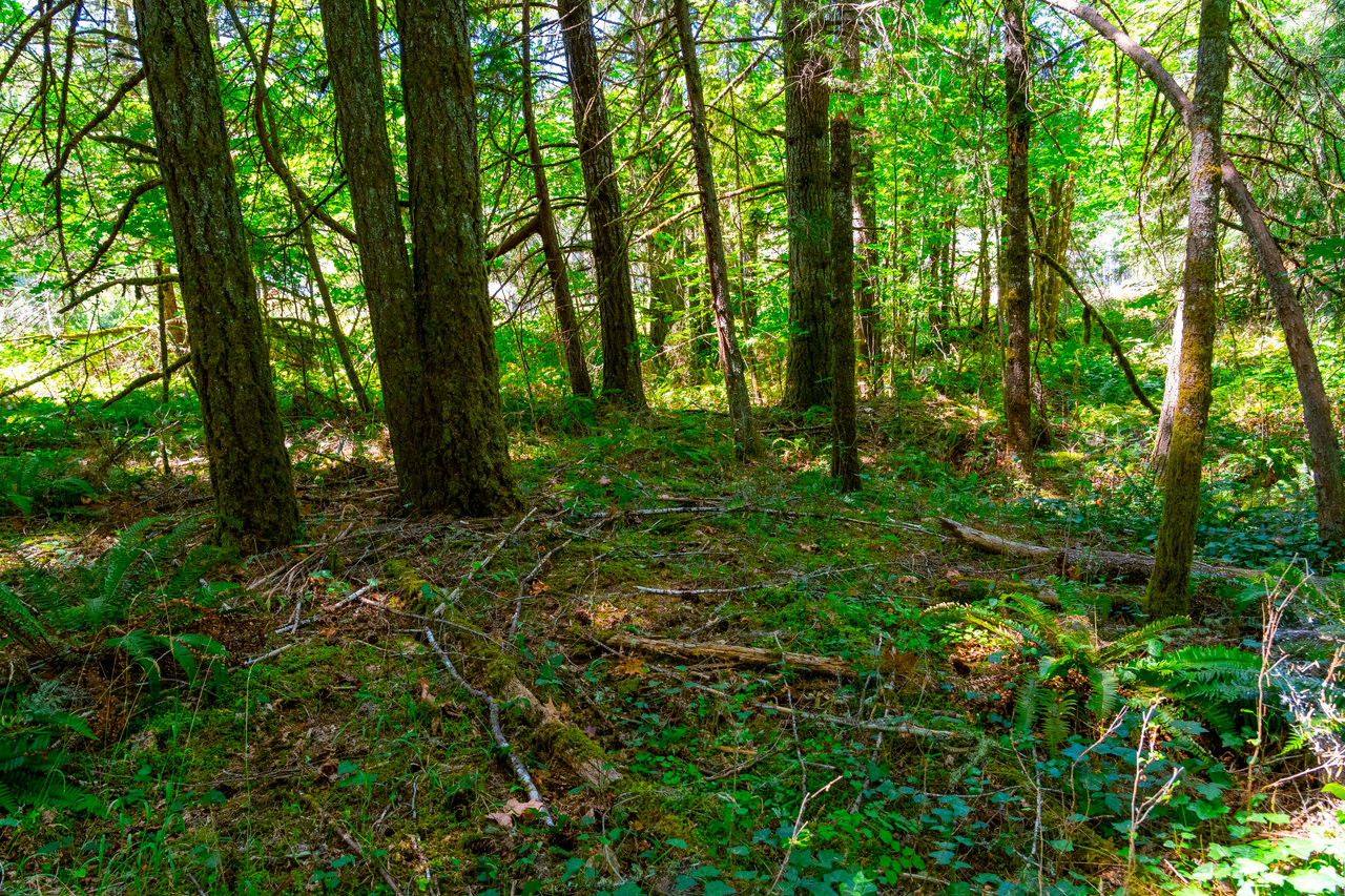 London Grove Riverfront