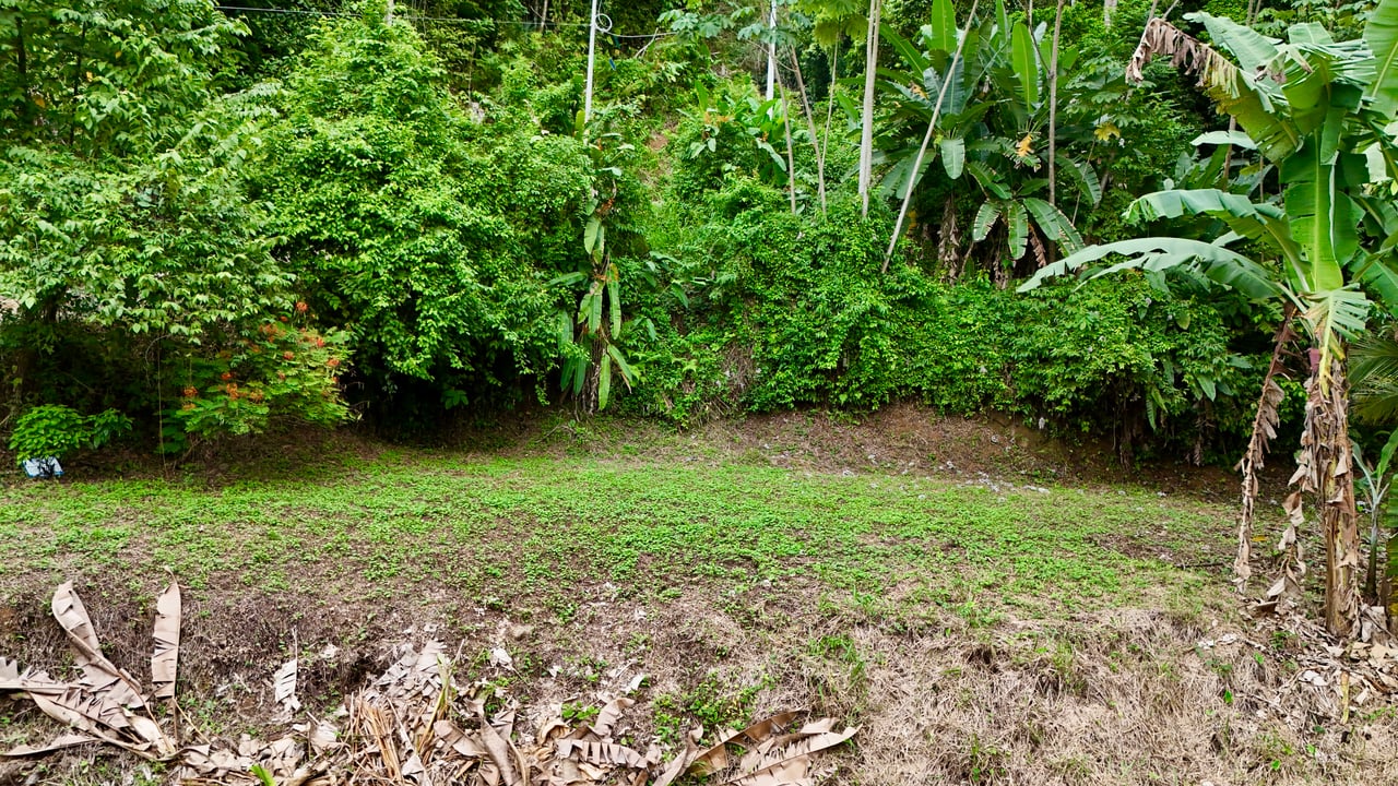 Tres Ríos Jungle Sanctuary | Ready-to-Build Lot Surrounded by Nature