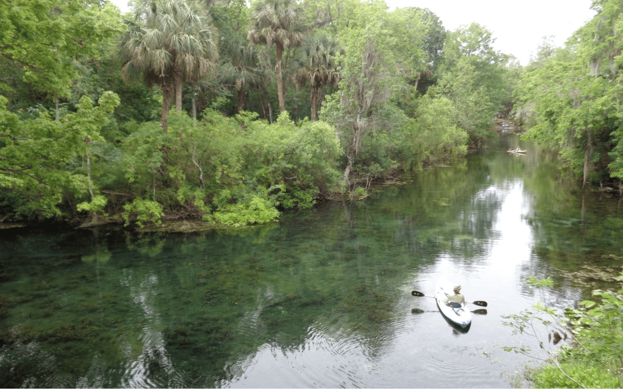 Top Outdoor Activities in Ocala, FL