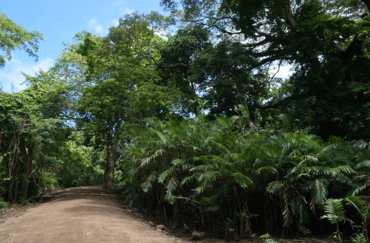 Casa Guanacaste Lot 22 - Tamarindo Park- Tropical Paradise