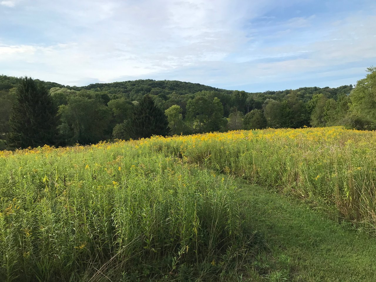 3880 County Road 30