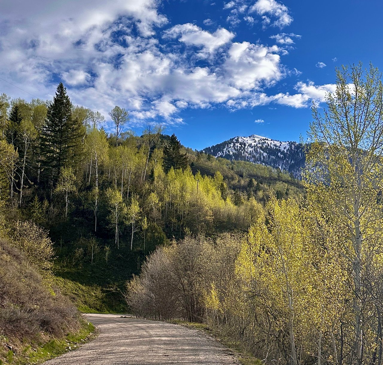 Why Spring is a Strategic Time to Sell in Teton Valley cover