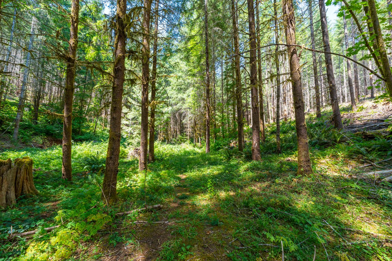 Thetford Home & Forest