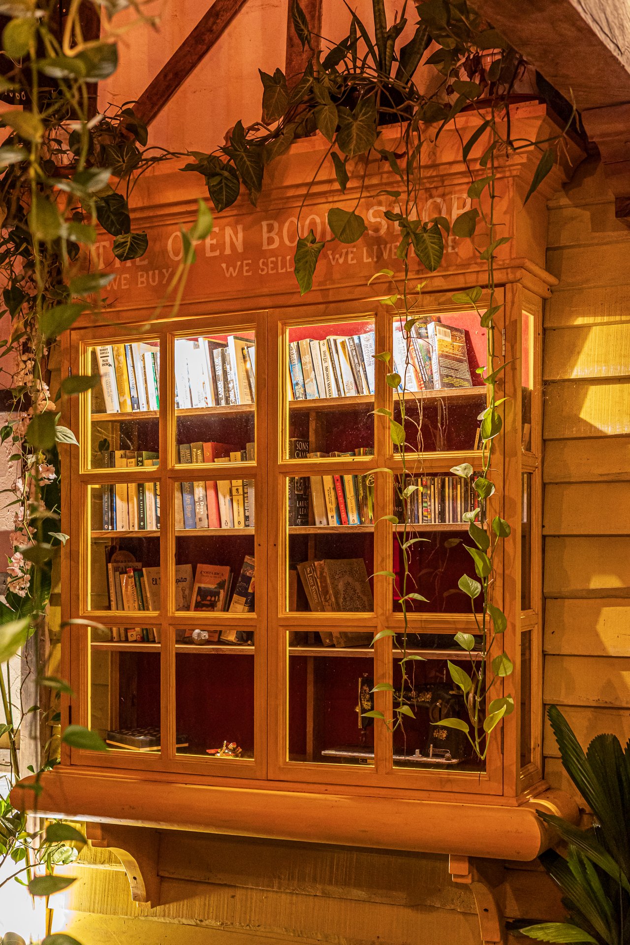 2.56 ACRES – 3 Bedroom Artistic Architectural Masterpiece, Recording Studio, Ocean View, Pool, 1 Bedroom Guest House!!!