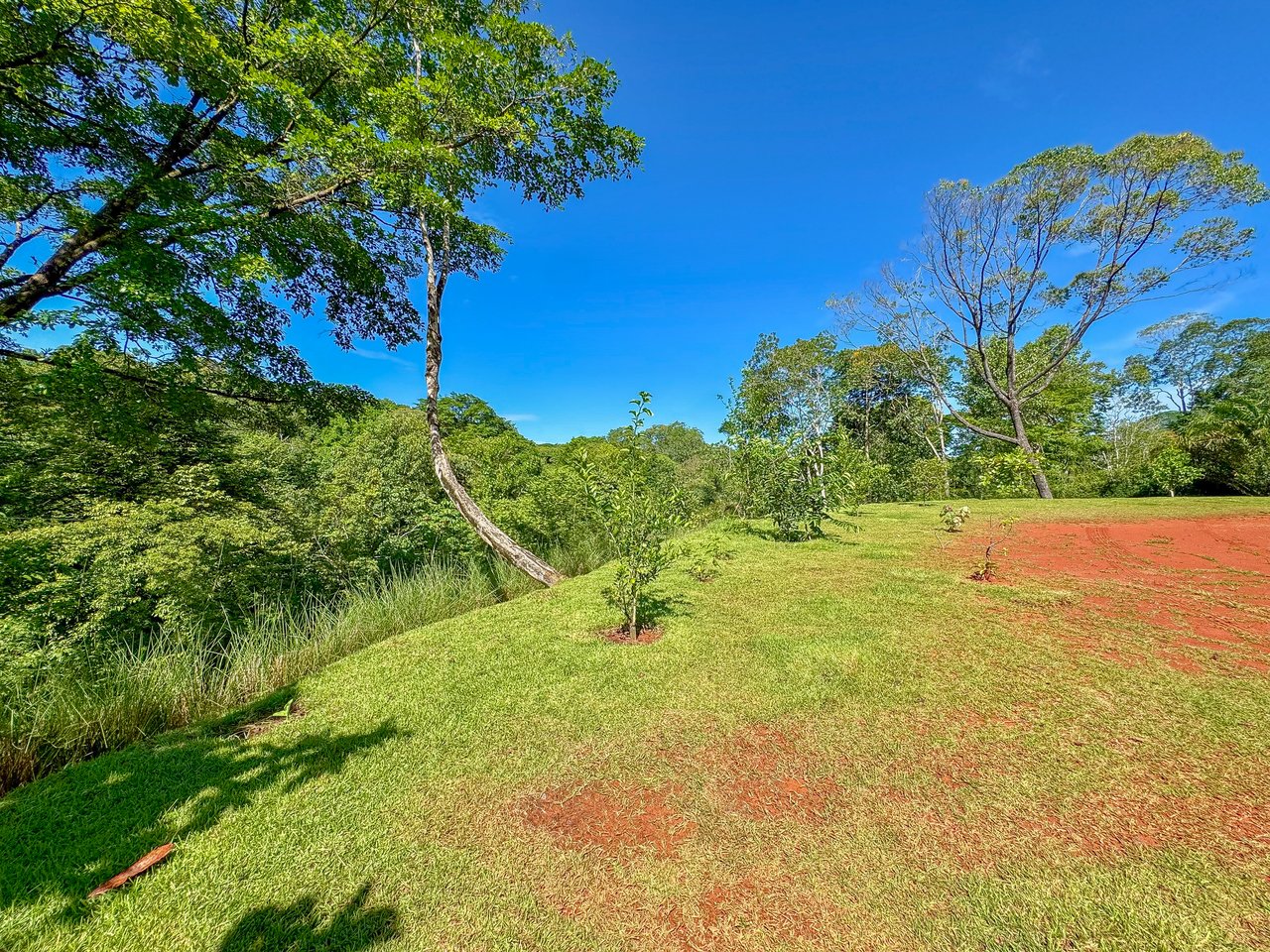 Jungle River Retreat with Airbnb & Build Space in Ojochal