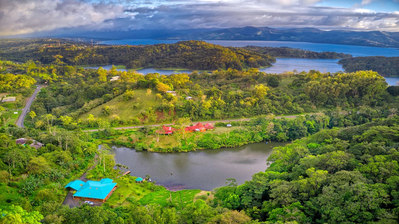 The Lucky Bug | Boutique Hotel & Investment Opportunity in Nuevo Arenal