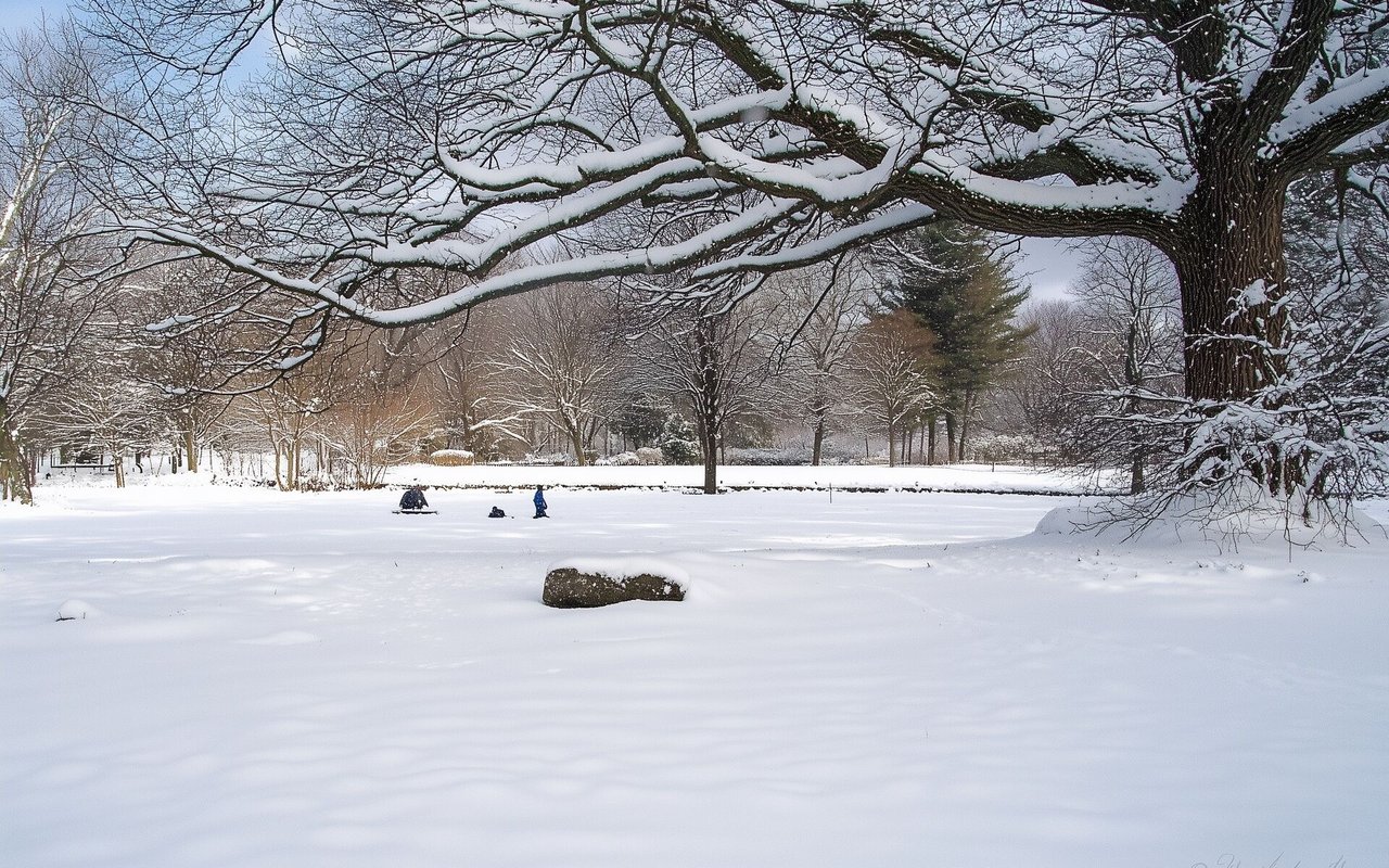 Skiing near Leesburg?