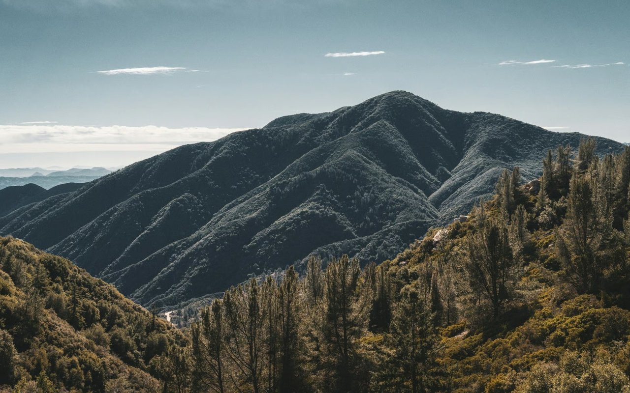 Woodland Hills