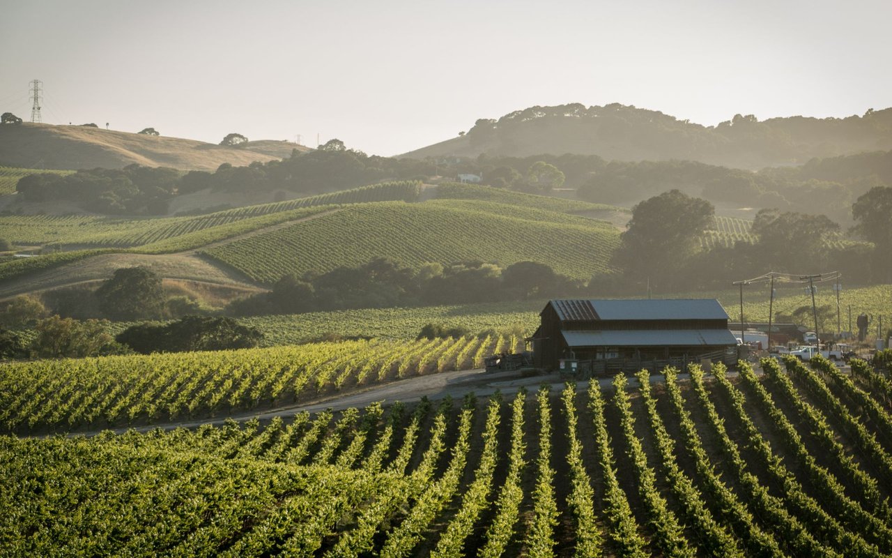 Napa