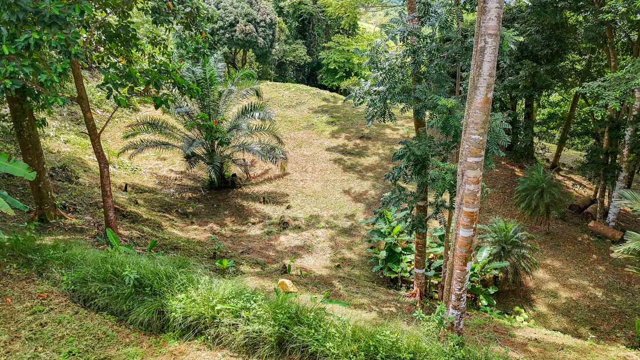 Large Uvita Lot With Whale’s Tail Ocean Views, Sunsets & Legal Water – Ready to Build!