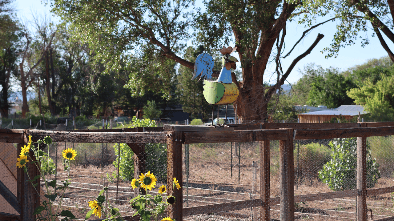 Torrey Land & Greenhouses