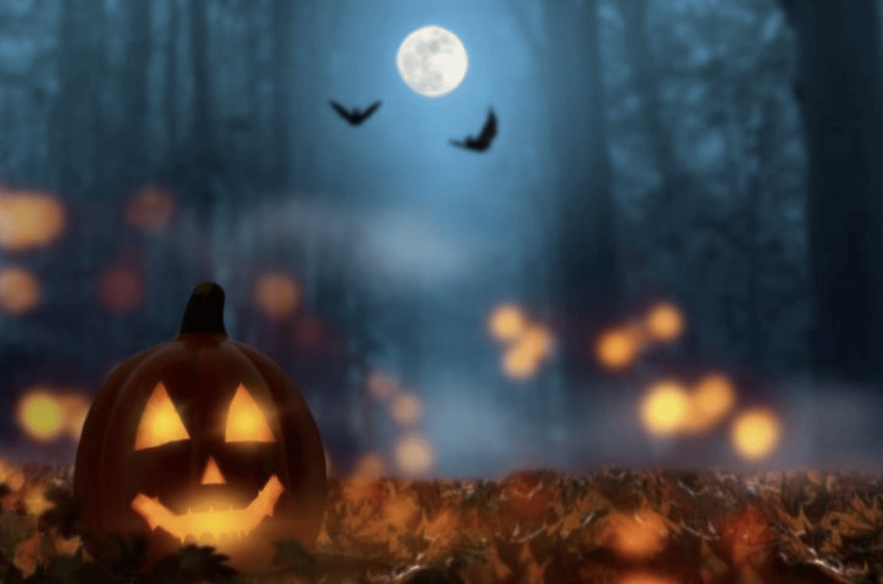 Embrace Spooky Season: Your Ultimate Guide to Halloween Fun and Festivities cover