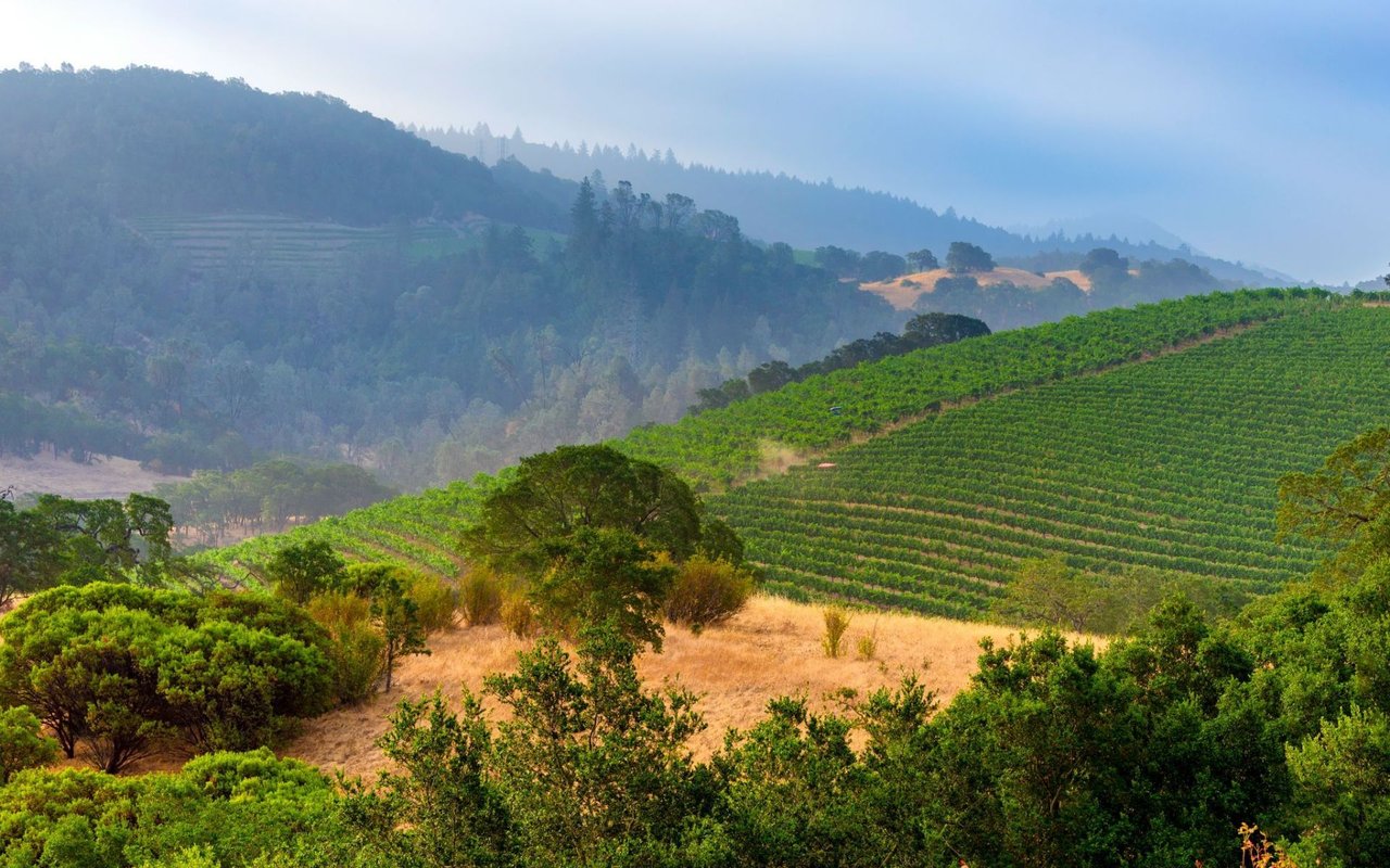 Napa